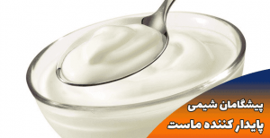 پایدار کننده ماست