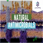 ترکیبات ضد میکروبی طبیعی