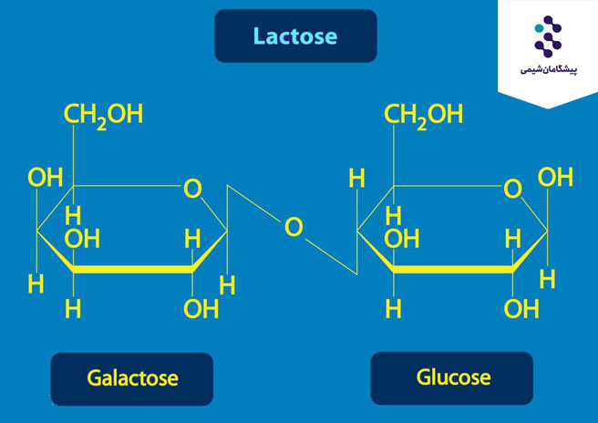 لاکتوز چیست ؟ همان کربوهیدرات یا قند شیر میباشد.