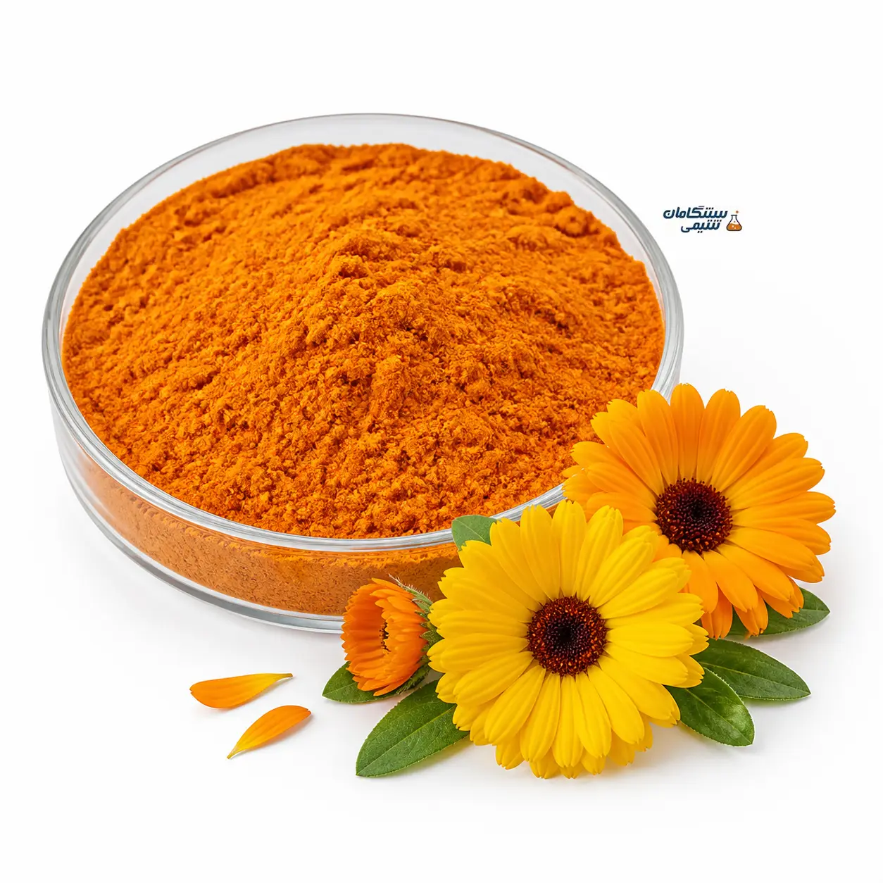 خرید پودر عصاره ماری گلد گزانتین